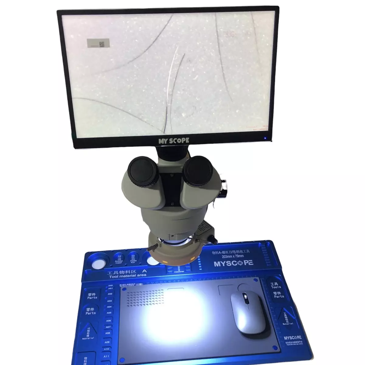 Myscope Standlı Mikroskop