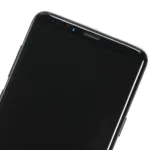 Samsung Galaxy S9 Plus İçin Uyumlu Çerçeveli OLED Montajı (Servis Paketi) (Titanyum Gri)  2532092